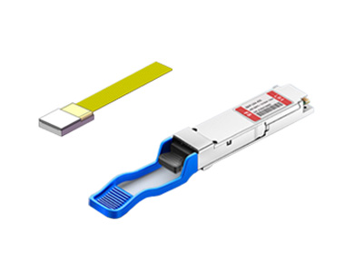 Introduction to Characteristics and Applications of Armored Fiber Optic Patch Cord