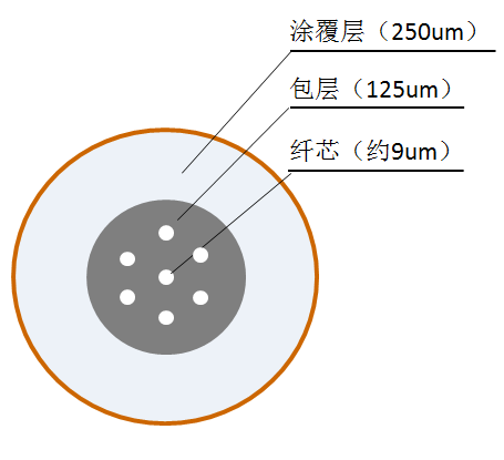 Future-Ready Connectivity: Multi-Core Fiber in 5G Networks and Beyond