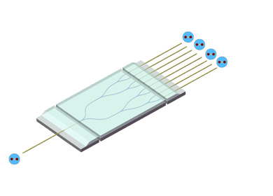 PM Fiber Components