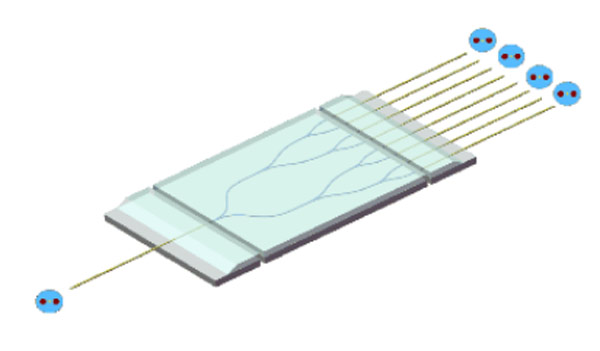 How plc optical splitter Works