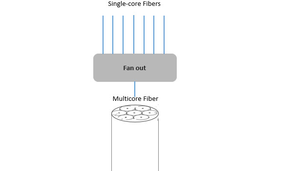 How Multicore Fiber Fanout Works